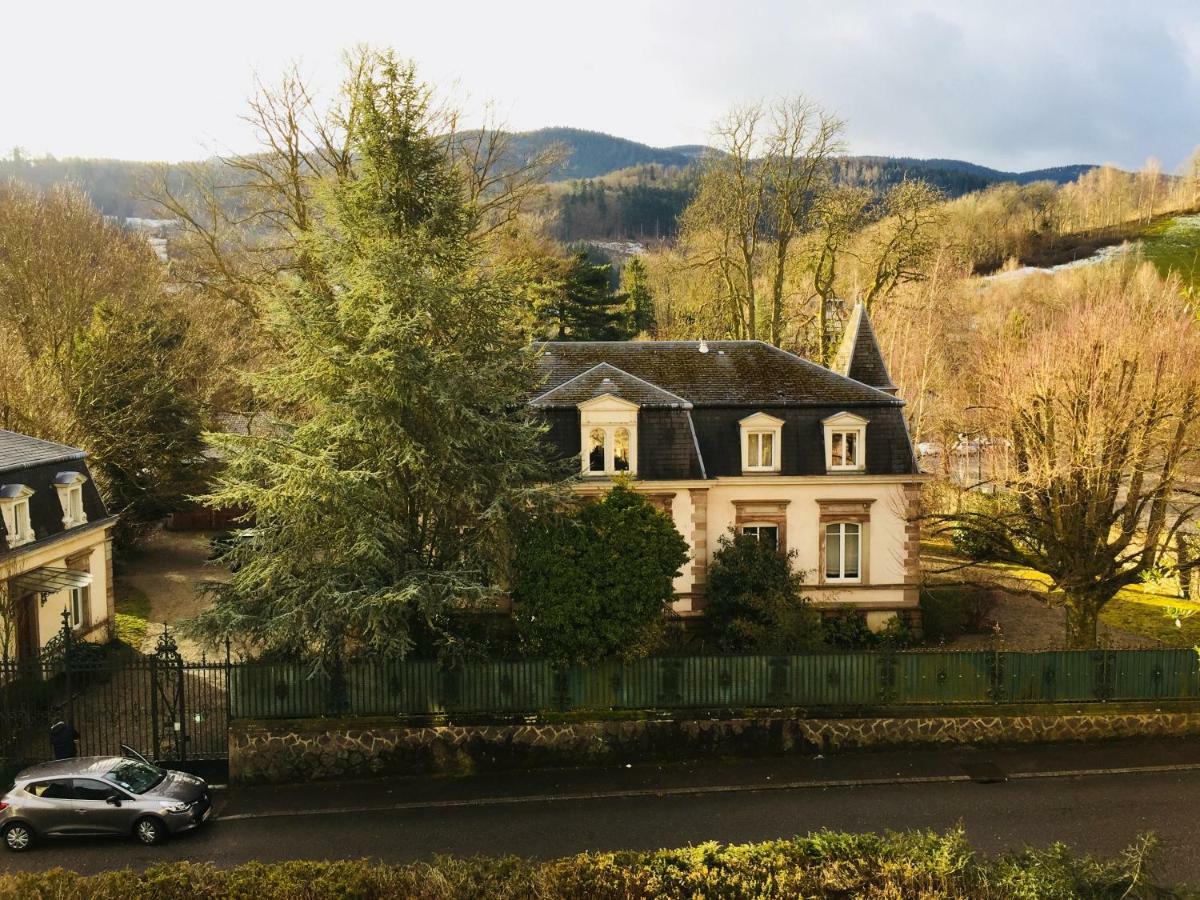 Villa Grimm Sainte-Marie-aux-Mines Dış mekan fotoğraf